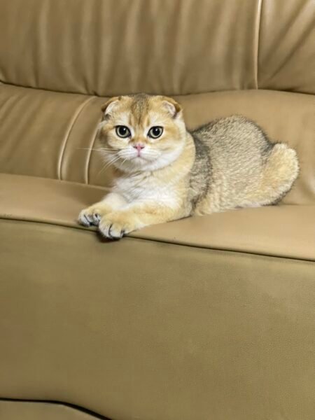 مزرعة باركود