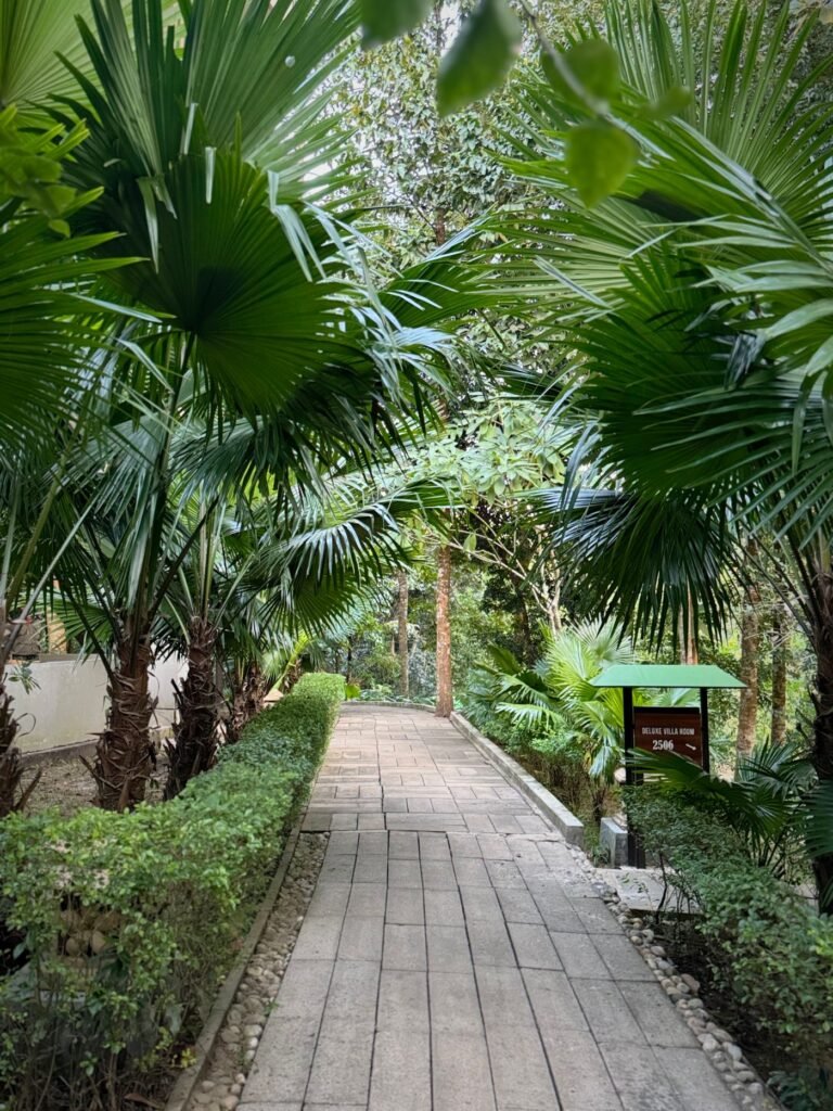استراحة زهرة النرجس